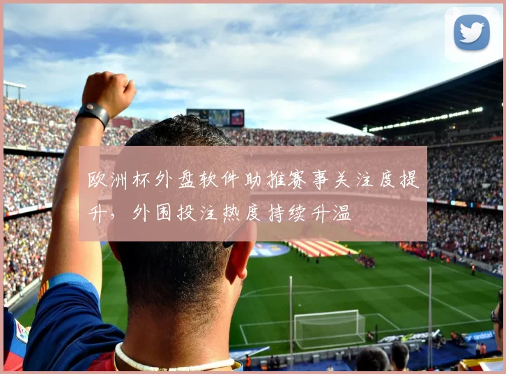 欧洲杯外盘软件助推赛事关注度提升,外围投注热度持续升温